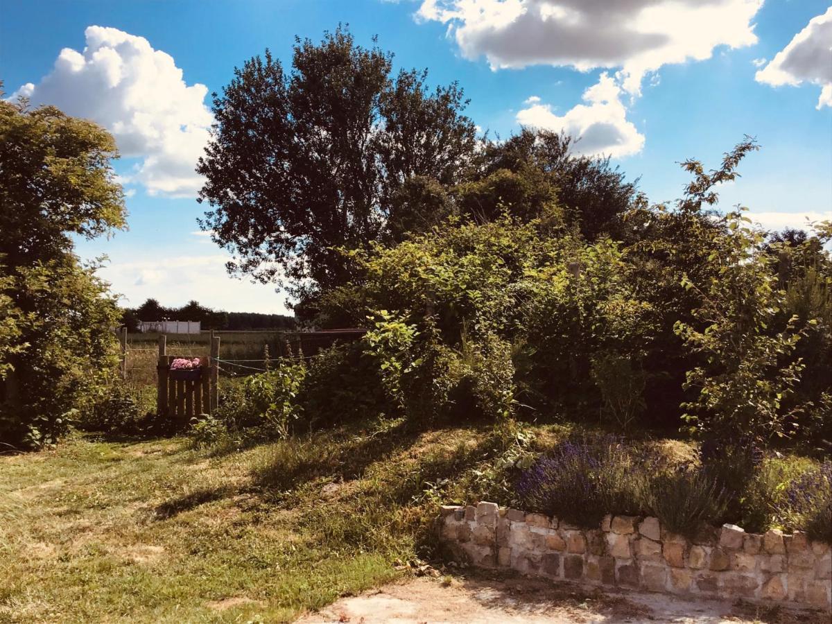 Le Chalet De La Ferme Du Tertre Villers-au-Tertre 部屋 写真